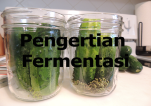 Pengertian fermentasi