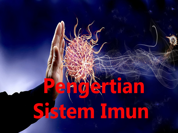 Pengertian Sistem Imun