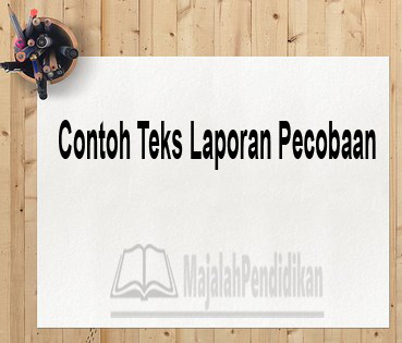 Contoh Laporan  Hasil Analisis Sederhana Nusagates