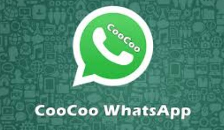 Fitur Unggulan Aplikasi CooCoo WhatsApp