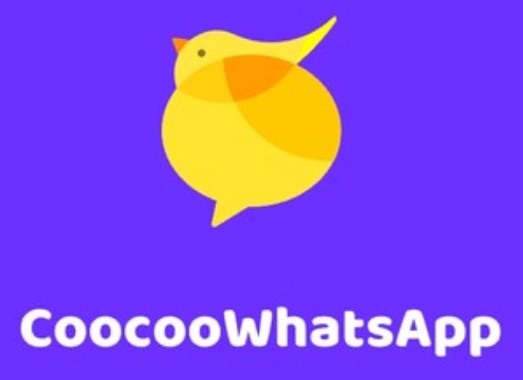 Mengenal Lebih Dekat CooCoo WhatsApp Kuning